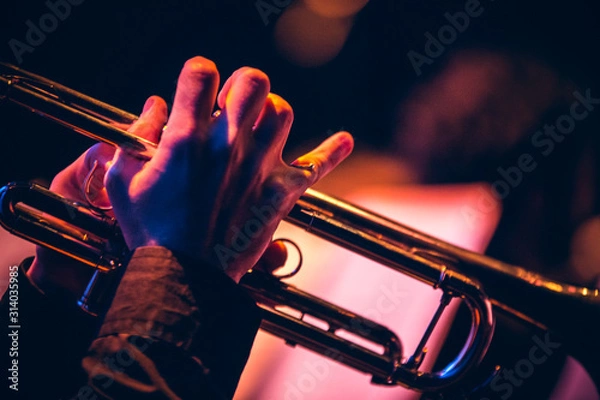 Obraz TRĄBKA I RĘKA