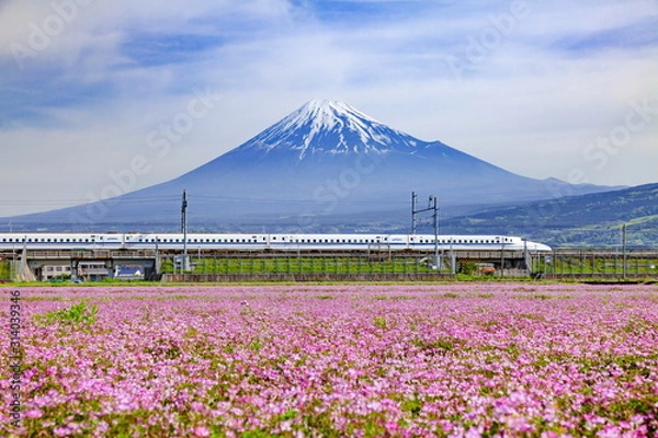 Obraz 富士山とレンゲ畑そして新幹線、静岡県富士市中里にて