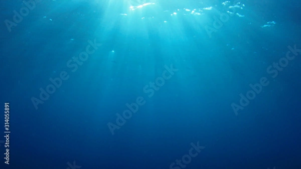 Fototapeta Podwodne niebieskie tło w oceanie z promieniami słońca