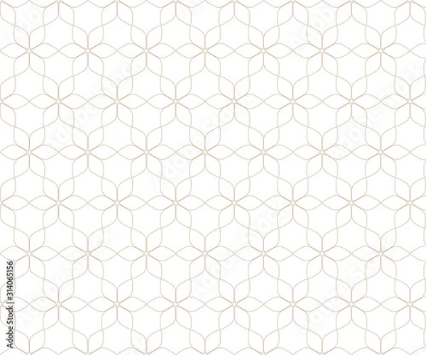 Fototapeta Pattern geometric texture, line of leaf or flower