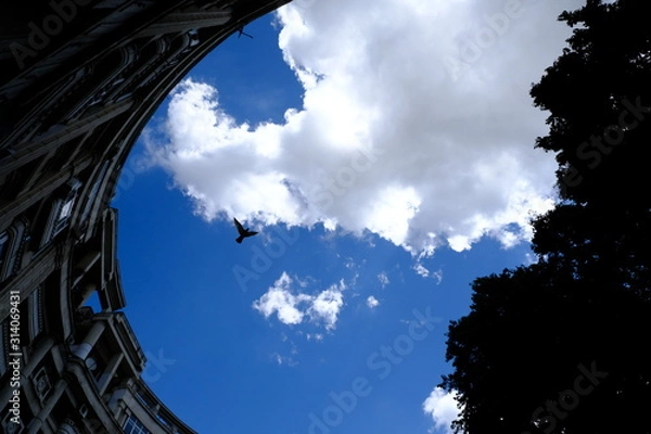 Obraz sky and clouds