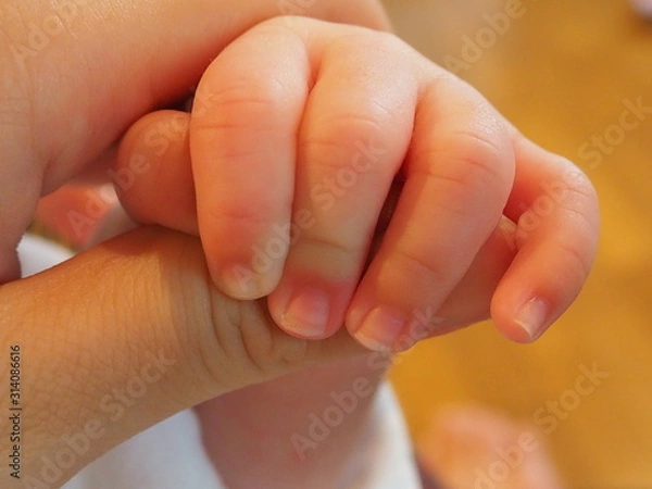 Fototapeta 新生児の手