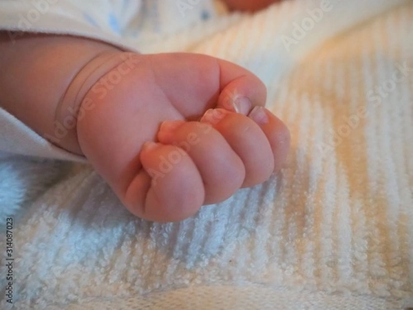 Fototapeta 新生児の手
