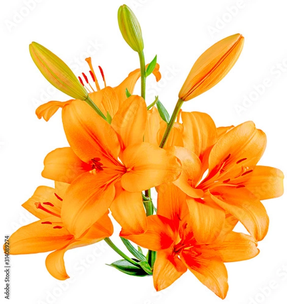 Obraz orange Lily bouquet on the side