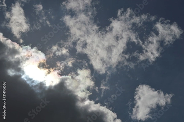 Obraz light sky tree cloud 