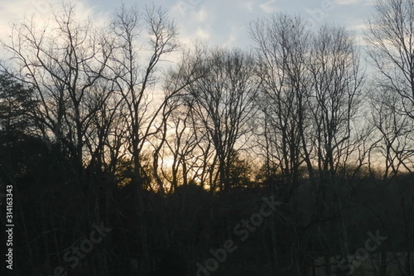 Obraz January twilight