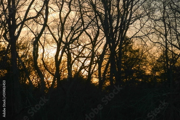 Obraz January sundown