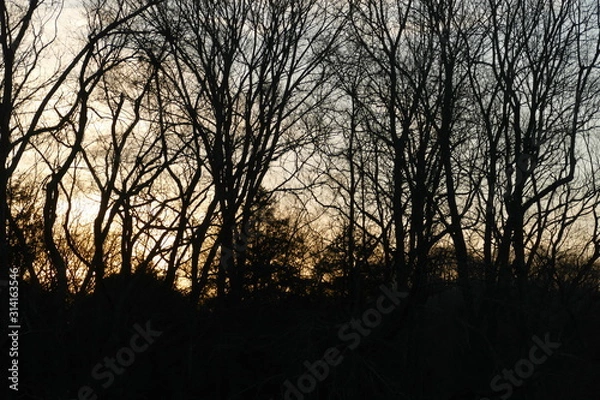 Obraz January sunset