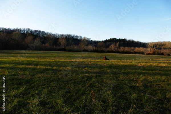 Obraz toward the ridge