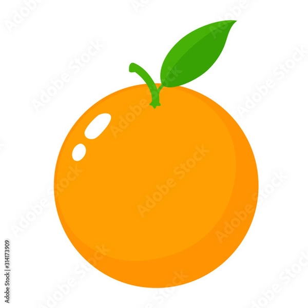 Obraz Cute, attractive orange.