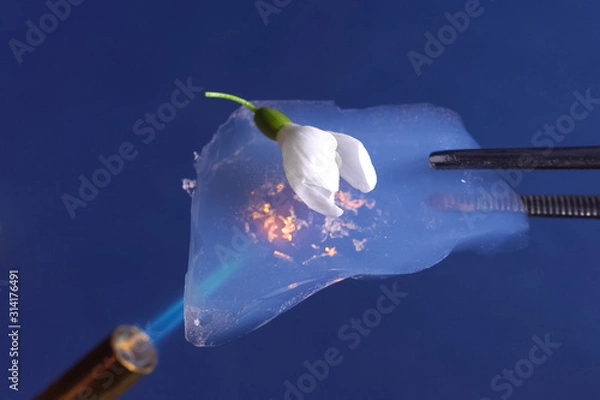 Fototapeta Airgel and experiences with it.