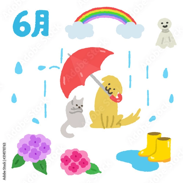 Fototapeta 6月素材　犬と猫