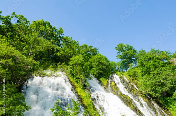 Fototapeta 北海道　知床　オシンコシンの滝