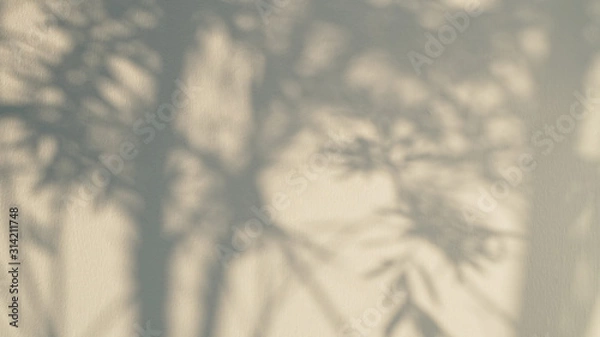 Fototapeta abstract background of tree leaves shadow