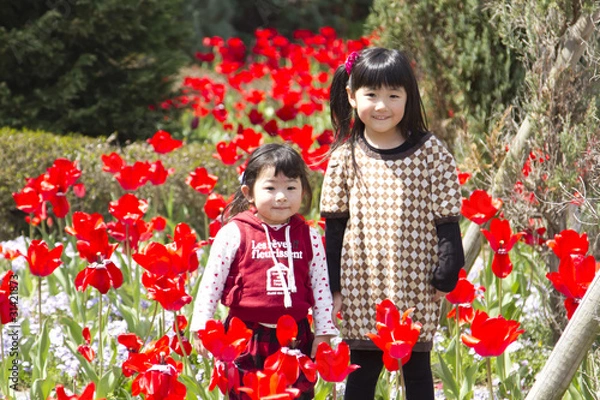Obraz チューリップと姉妹