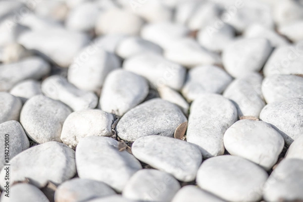 Fototapeta Beach with white and gray stones softly rounded