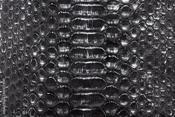 Obraz Black Snakeskin texture pattern, natural python leather.