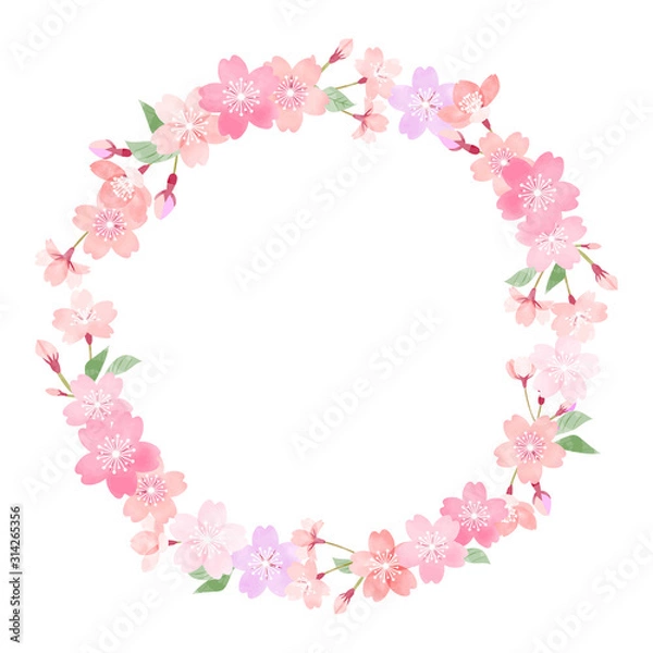 Obraz 桜　丸いフレーム　手描き水彩風　01