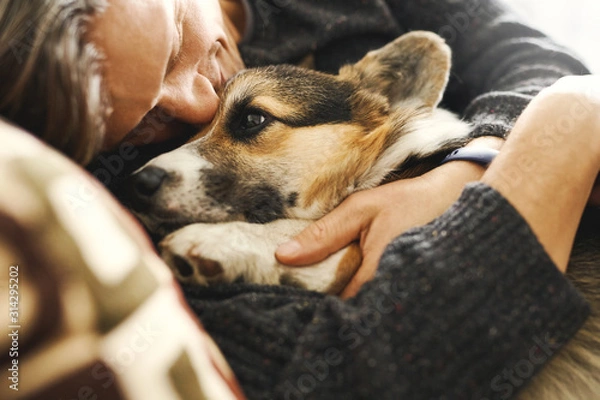 Obraz Portret młodego mężczyzny obejmującego swojego zwierzaka. Śliczny szczeniak Welsh Corgi odpoczywa z właścicielem, spędzając razem czas w domu. Koncepcja przyjaźni z psem i człowiekiem, urocze chwile, relaks, beztroska.