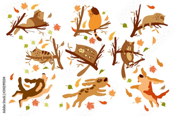 Fototapeta Set of cats and dogs. Cartoon style. Cats sleep on tree branches, dogs bark at cats, play, jump in the park. Brown - yellow color. vector