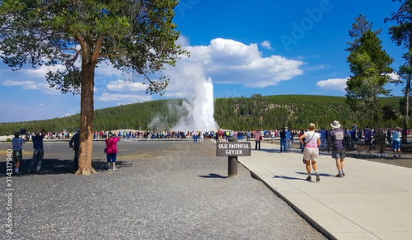 Fototapeta Visitors are treated to a beautiful display of Old Faithful's thermal waters over the Labor Day weekend.