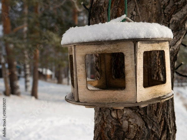 Obraz bird feeders