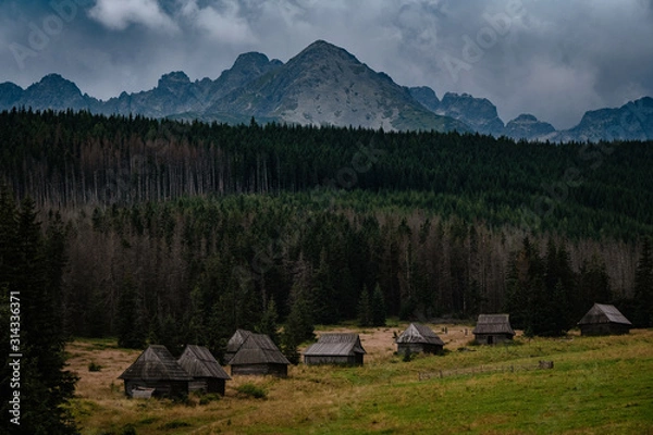 Fototapeta path through Gasienicowa Valley in Tatry mountains, Poland