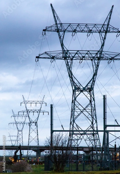 Fototapeta Electricity masts in a line by dusk
