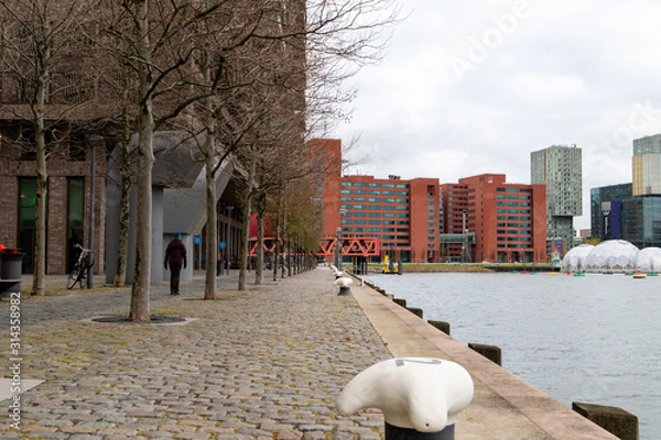 Fototapeta At the port of rotterdam with skyline