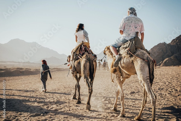 Fototapeta a ride on the camel
