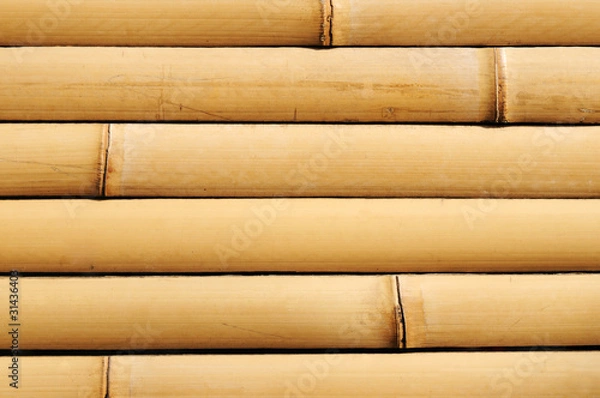 Fototapeta bamboo texture