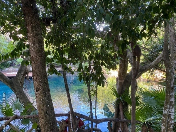 Obraz palm trees on the beach