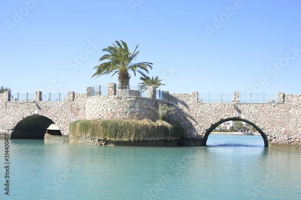 Fototapeta Lonely palm tree growing on the bridge