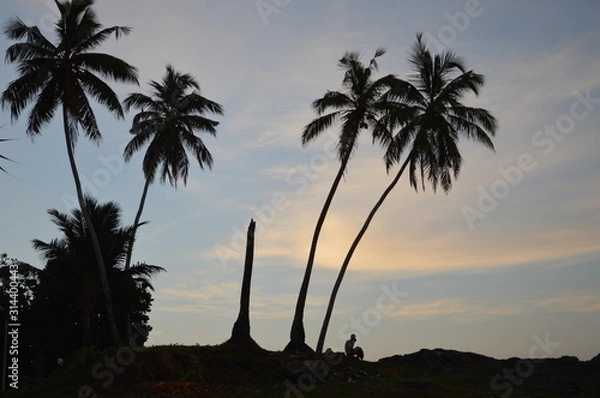 Fototapeta A morning prayer under a palm tree on the shore of the Indian Ocean