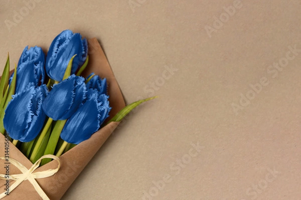 Fototapeta Boquet of blue tulips on the cardboard background. Leftside view