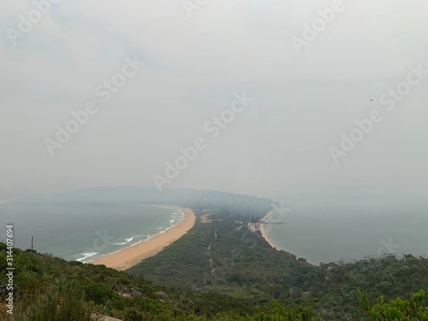 Fototapeta Palm Beach