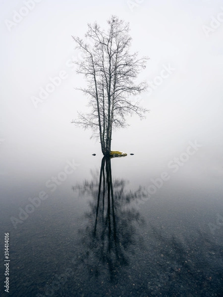 Obraz Mood foggy landscape with idyllic little island and calm lake at autumn morning in Finland