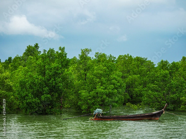 Fototapeta OLYMPUS DIGITAL CAMERA