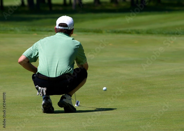 Fototapeta Golfer lines up his putt on the green as he prepares to putt.
