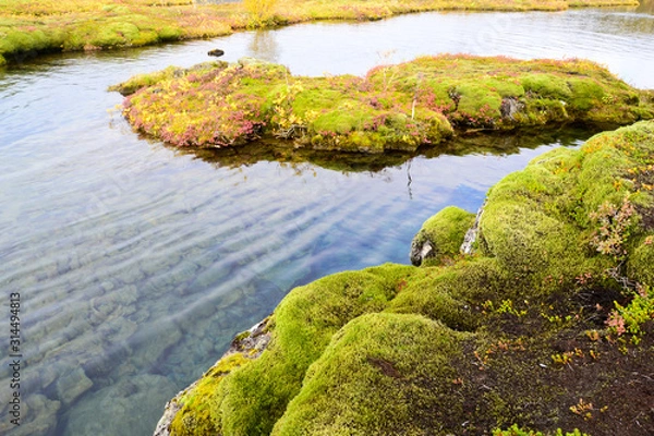 Obraz Thingvellir iceland