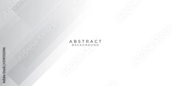 Fototapeta White Grey Silver Box Rectangle Abstract Background Vector Presentation Design