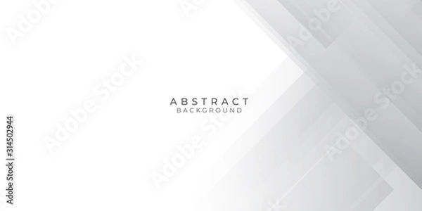 Fototapeta White Grey Silver Box Rectangle Abstract Background Vector Presentation Design
