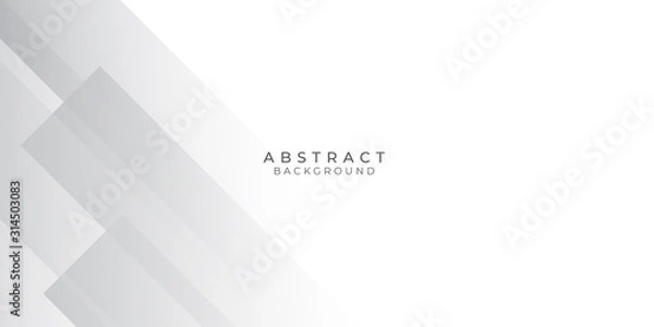 Fototapeta White Grey Silver Box Rectangle Abstract Background Vector Presentation Design