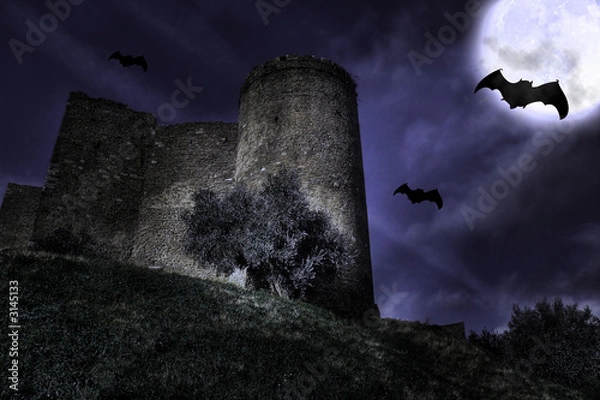 Obraz castello nella notte