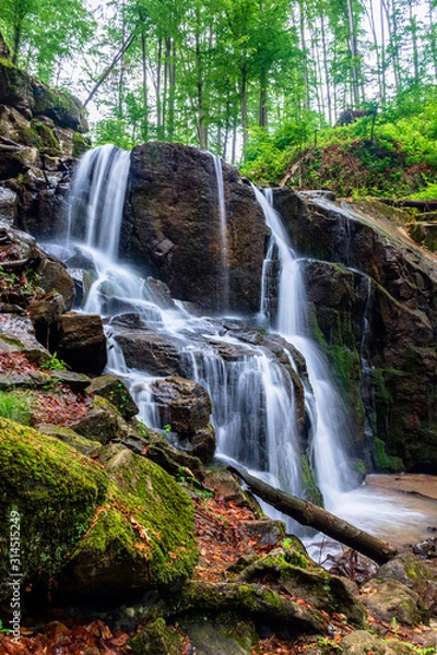 Fototapeta waterfall skakalo in the forests of transcarpathia. rapid water stream runs down the huge boulders. clear water of carpathian nature in springtime. long exposure