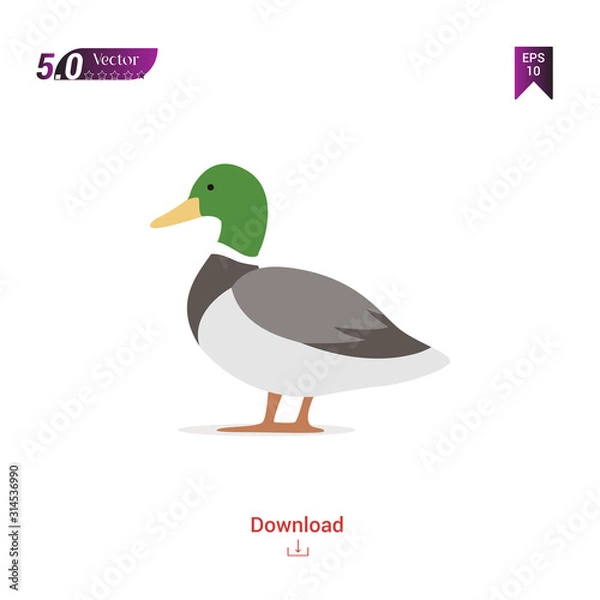 Fototapeta colorful duck animal vector icon for graphic design