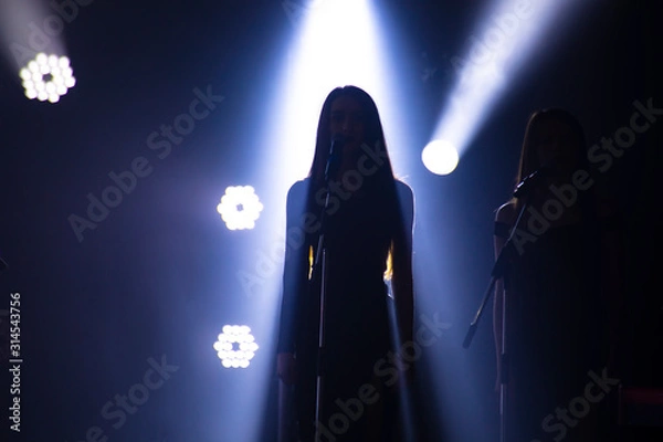 Fototapeta back vocalist at a concert