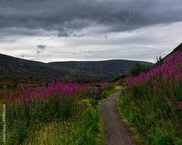 Fototapeta Scotland scenery