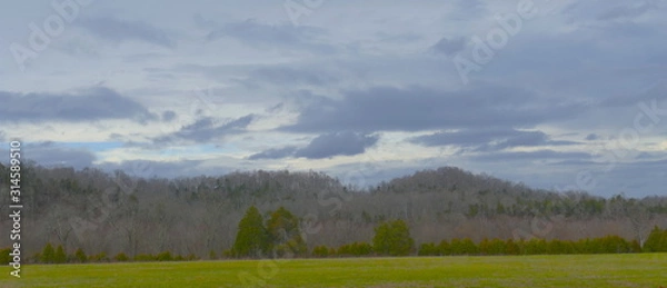 Fototapeta toward the river