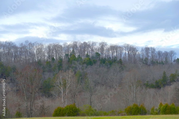 Obraz out over the river